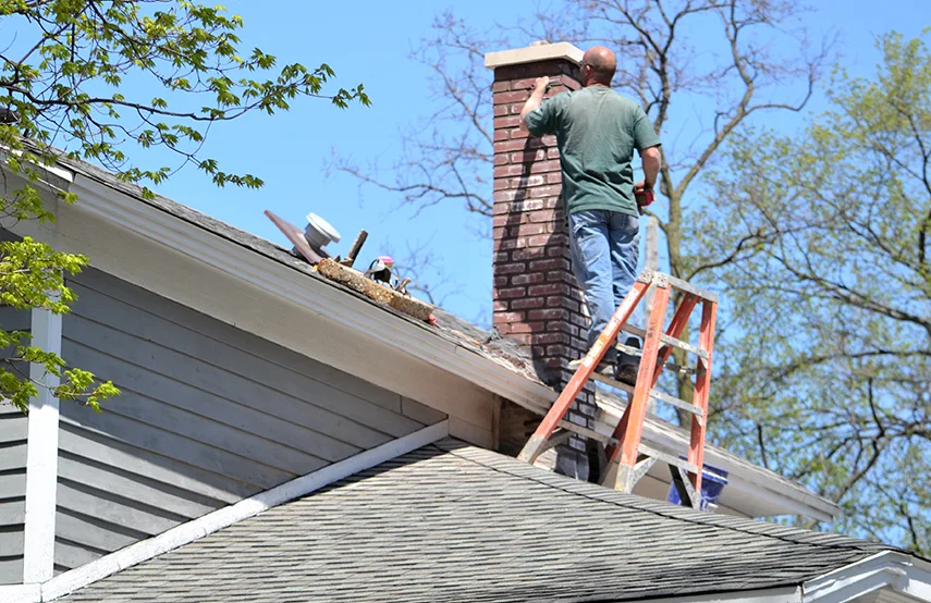 Chimney & Fireplace Inspections Services in American Fork, UT